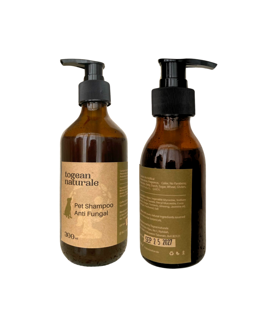 Anti Fungal Shampoo
